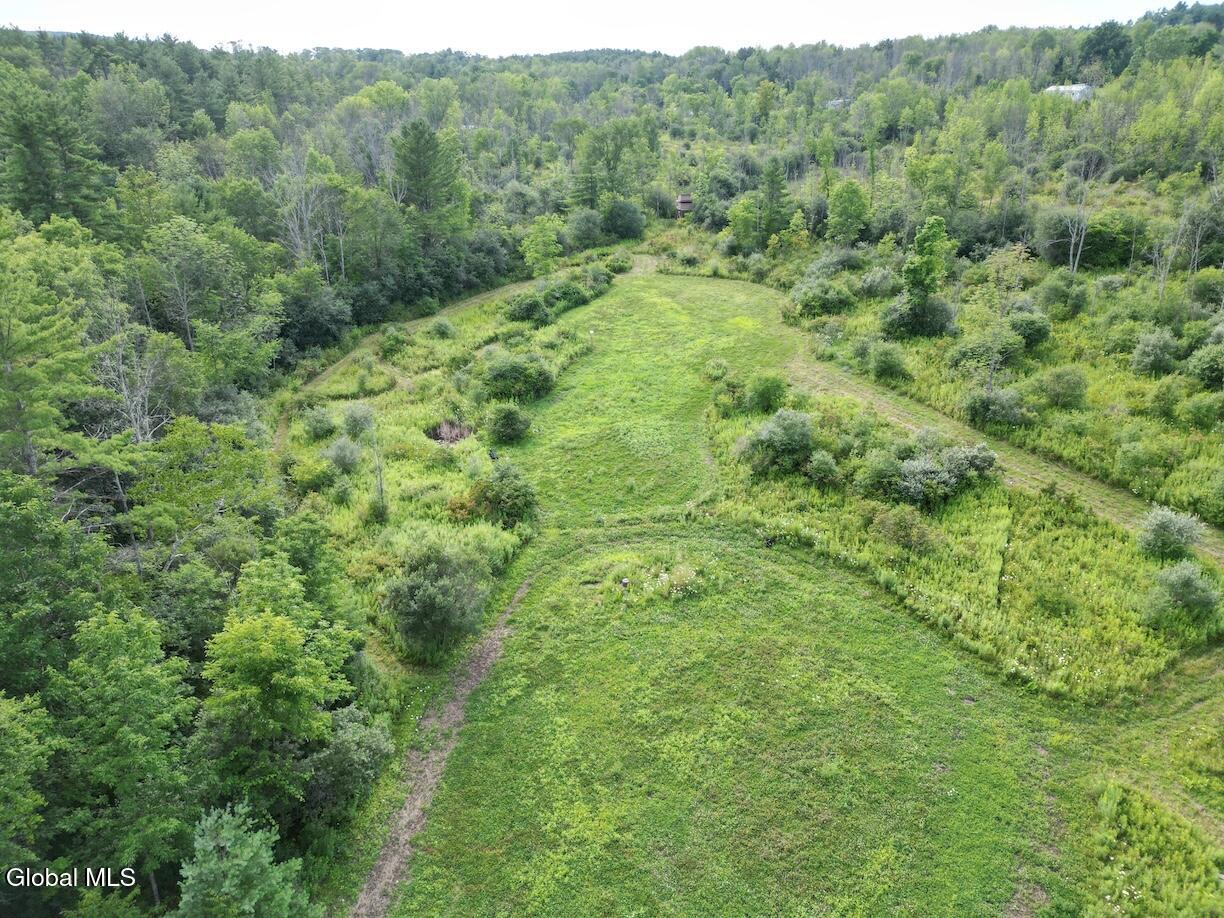 418 Saddlemire Hill Road Carlisle NY 12160