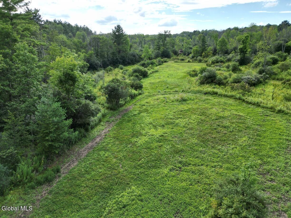 418 Saddlemire Hill Road Carlisle NY 12160