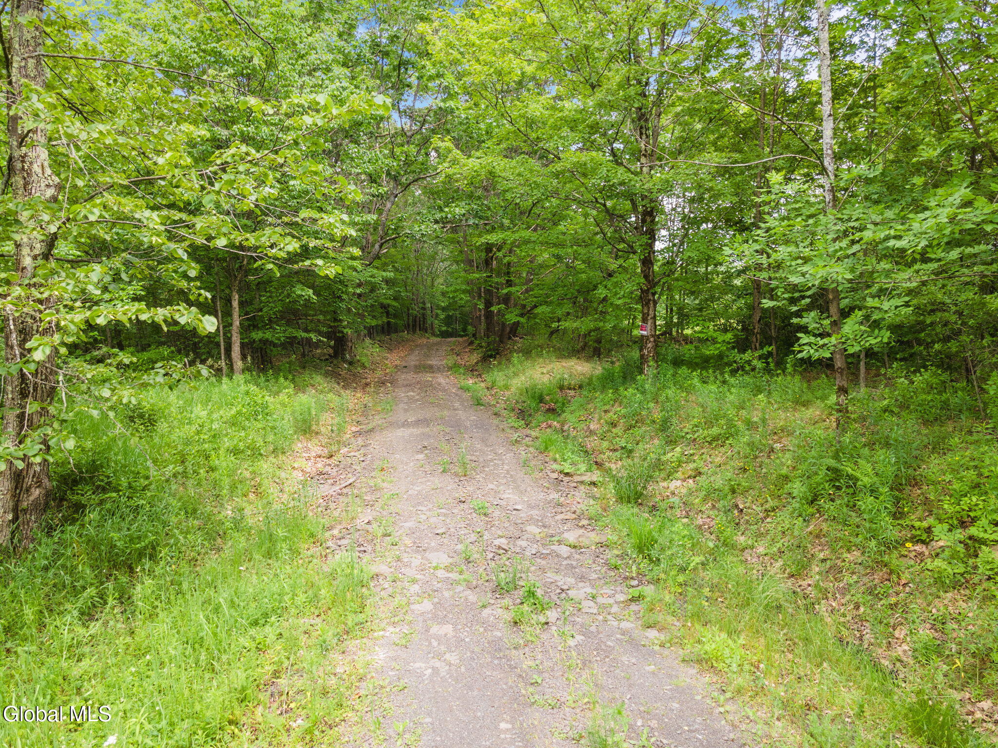 255 Lassen Road Middleburgh NY 12122