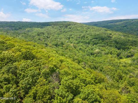 255 Lassen Road Middleburgh NY 12122