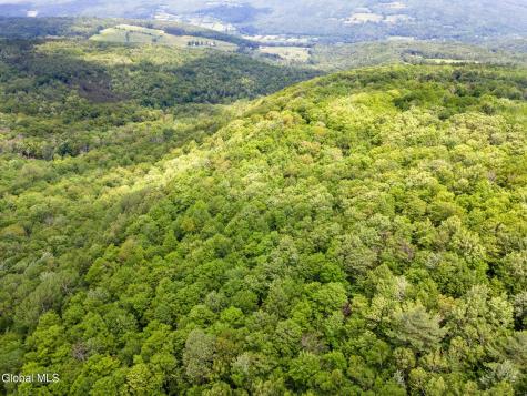 255 Lassen Road Middleburgh NY 12122