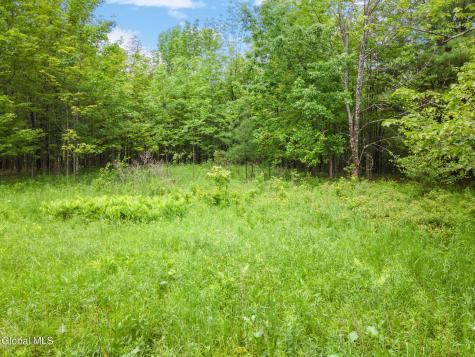 255 Lassen Road Middleburgh NY 12122