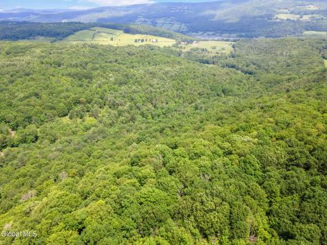 255 Lassen Road Middleburgh NY 12122