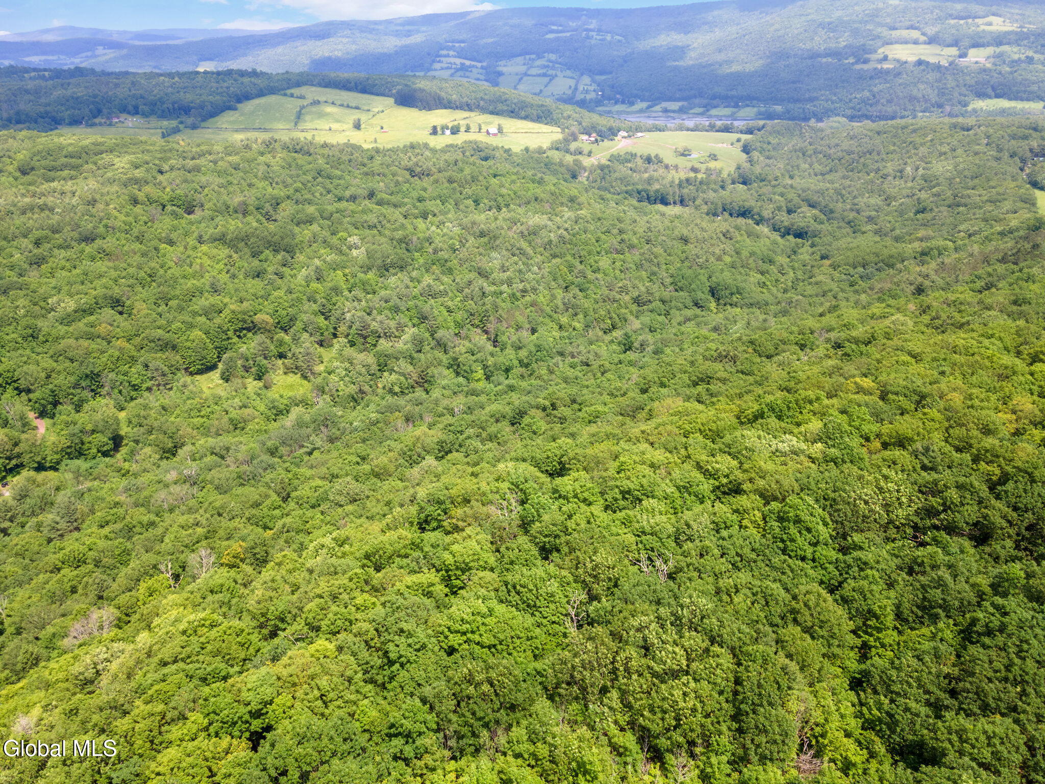 255 Lassen Road Middleburgh NY 12122