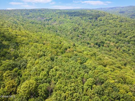 255 Lassen Road Middleburgh NY 12122