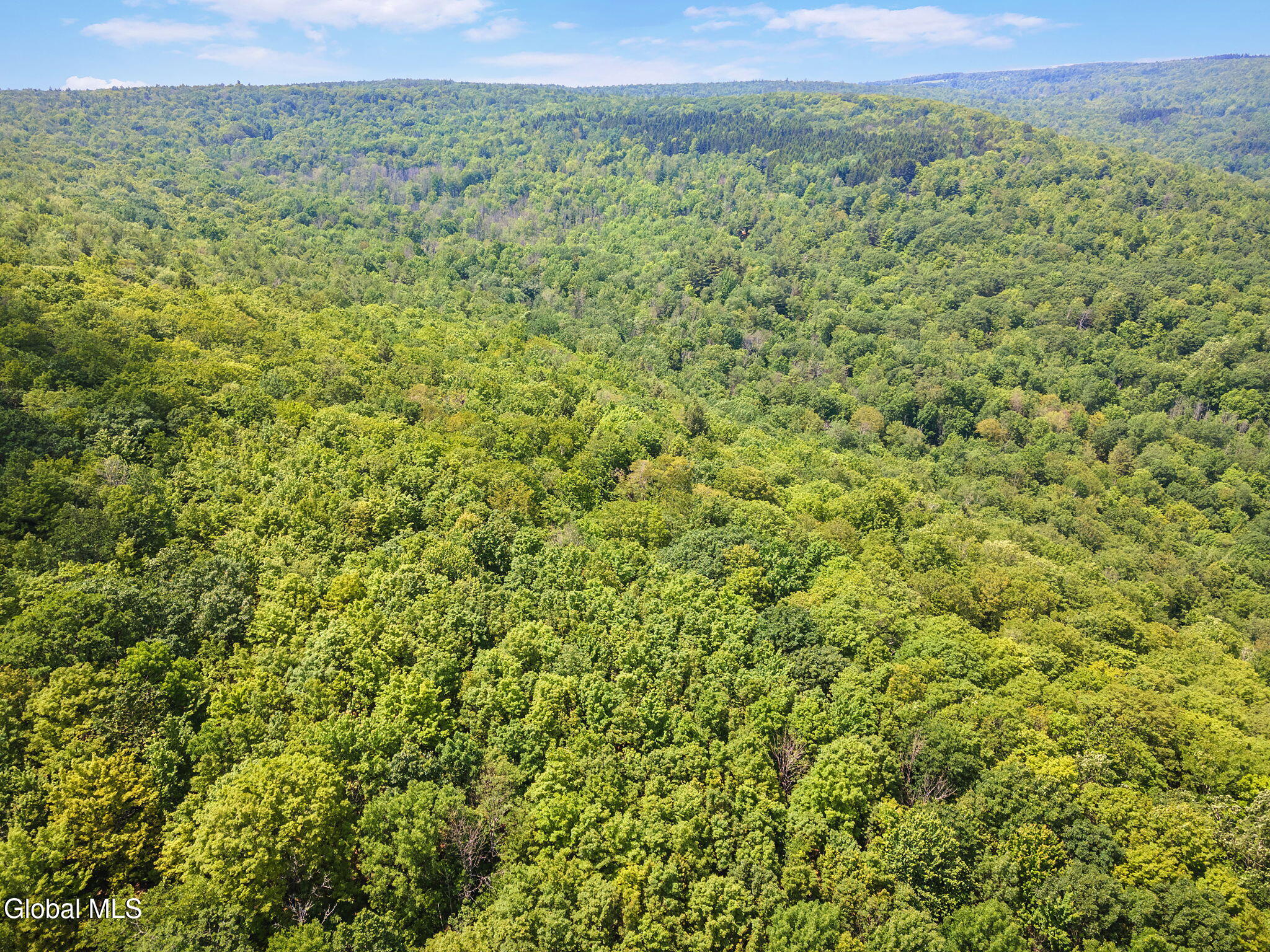 255 Lassen Road Middleburgh NY 12122