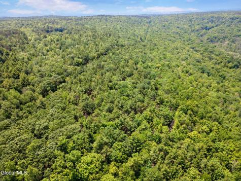 255 Lassen Road Middleburgh NY 12122