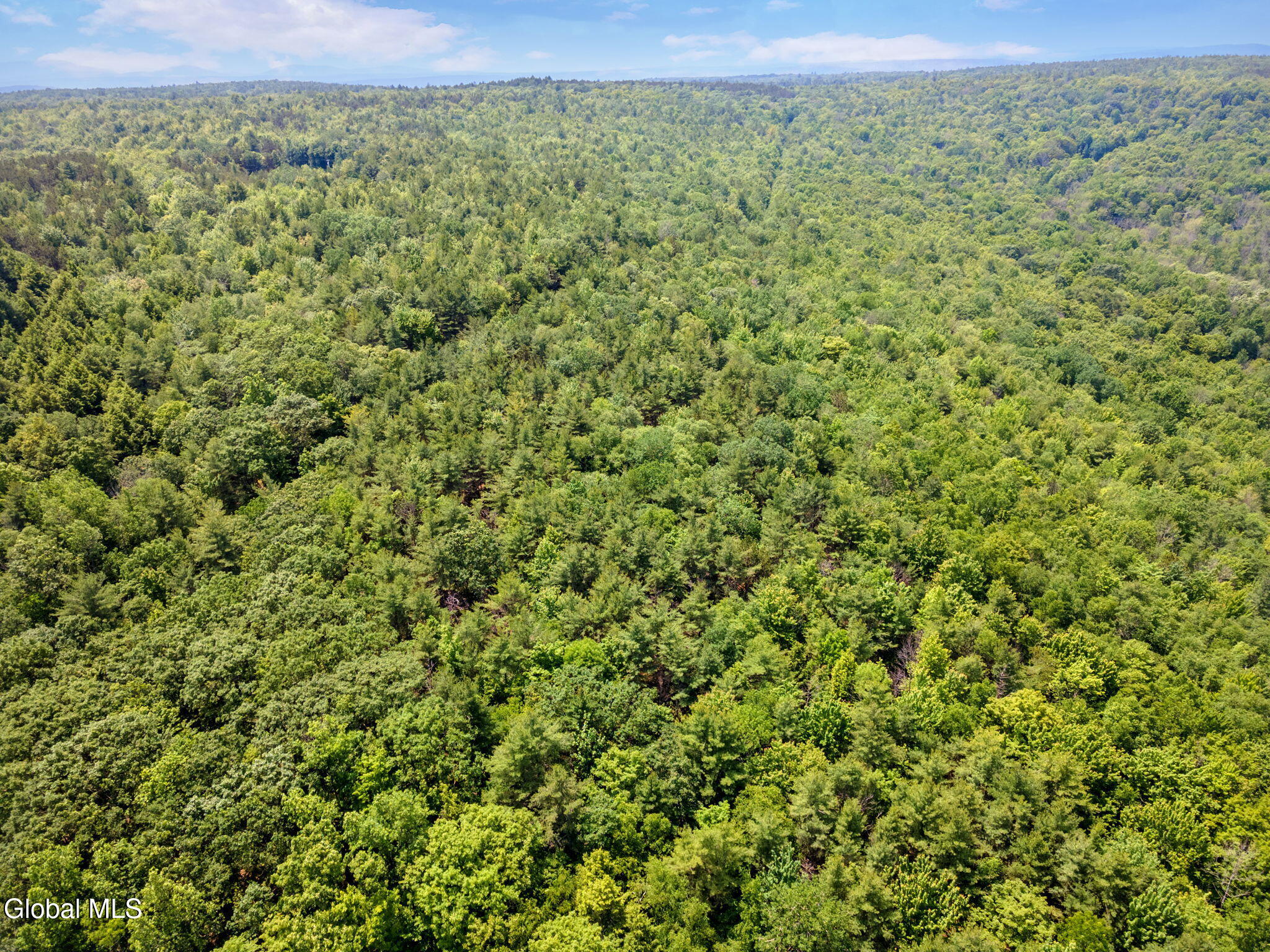 255 Lassen Road Middleburgh NY 12122