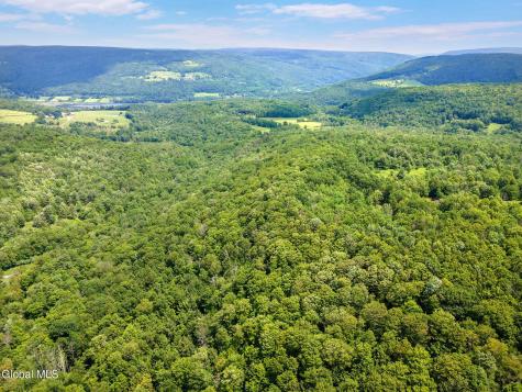 255 Lassen Road Middleburgh NY 12122