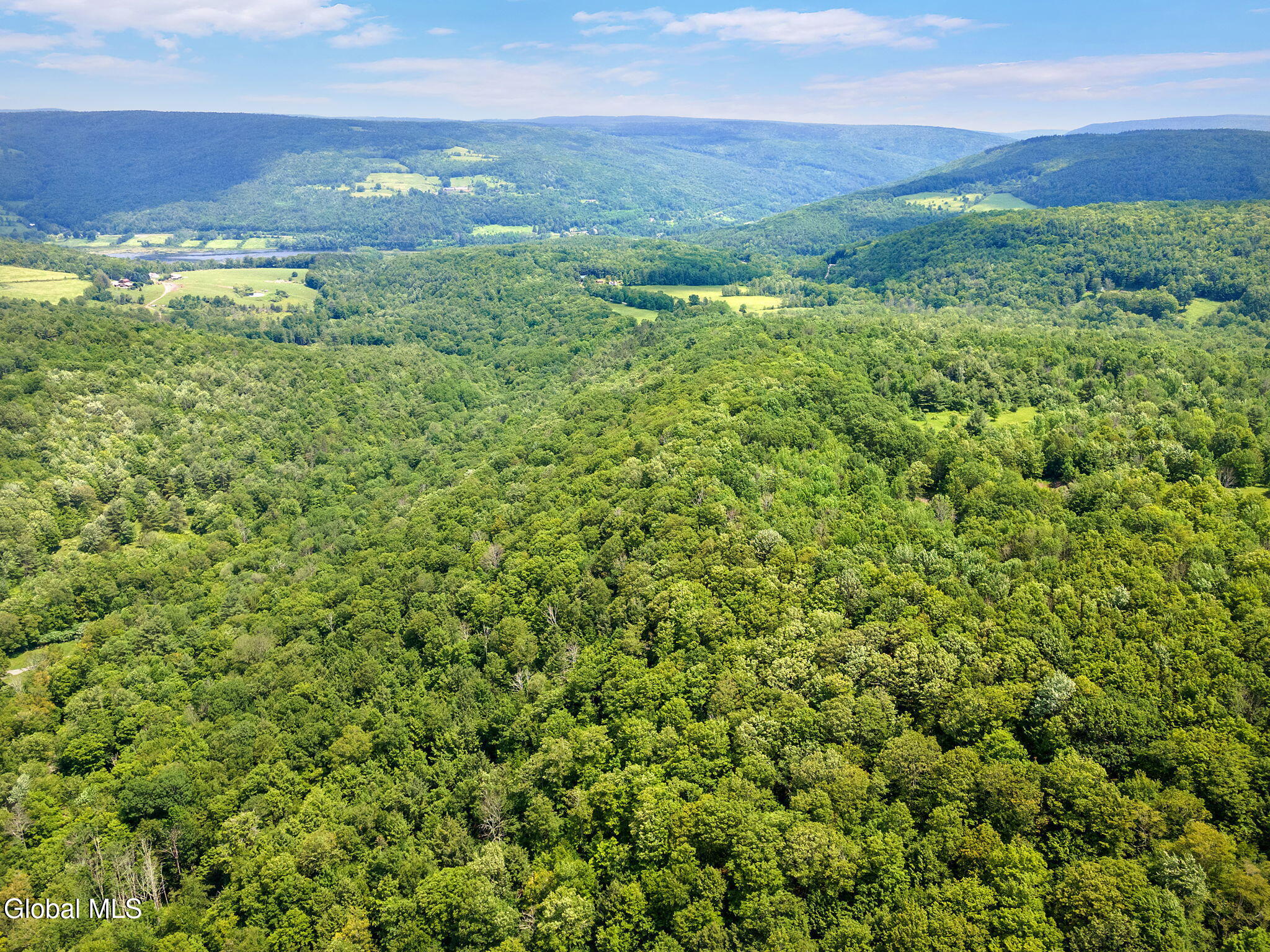 255 Lassen Road Middleburgh NY 12122