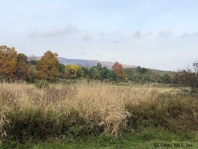 425A Bullock Road Slingerlands NY 12159