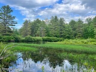 L 67.1 Mcgregor Road Gloversville NY 12078