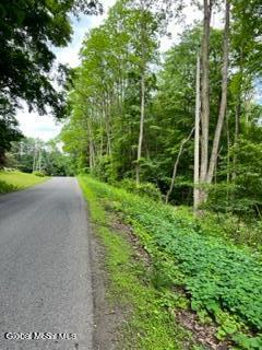 L 67.1 Mcgregor Road Gloversville NY 12078