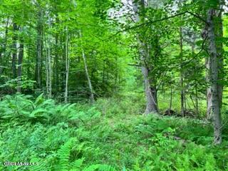 L 67.1 Mcgregor Road Gloversville NY 12078