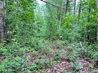 L 67.1 Mcgregor Road Gloversville NY 12078