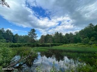 L 67.1 Mcgregor Road Gloversville NY 12078