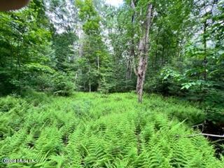 L 67.1 Mcgregor Road Gloversville NY 12078