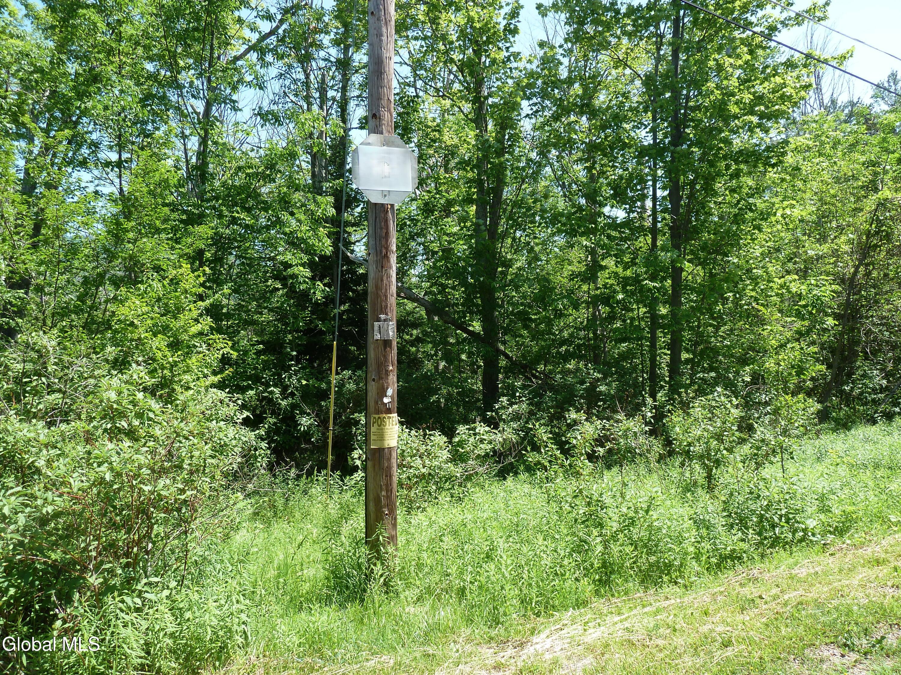 L14 Berry Lane Hunter NY 12442