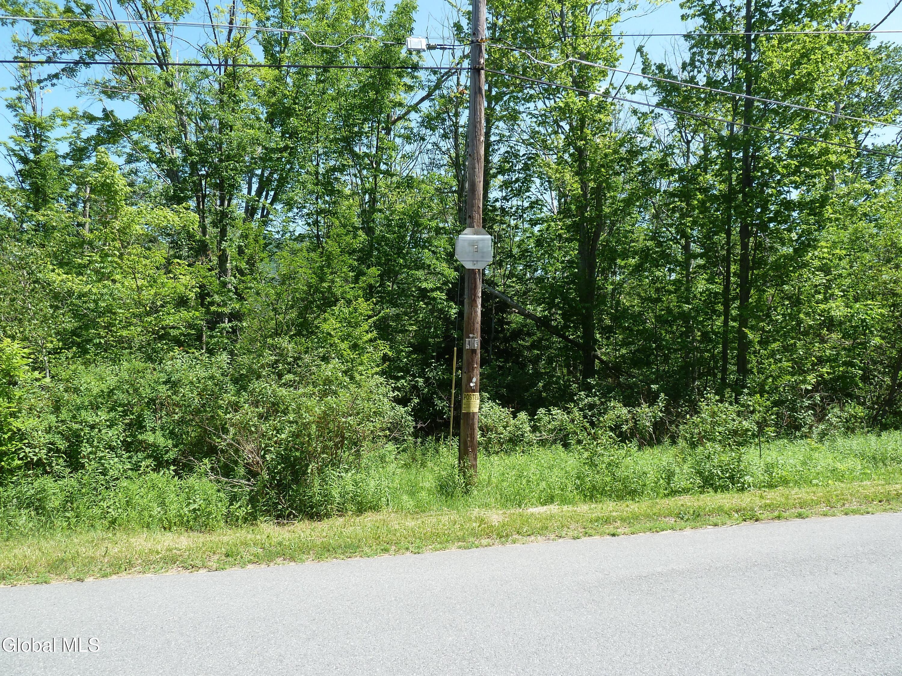 L14 Berry Lane Hunter NY 12442