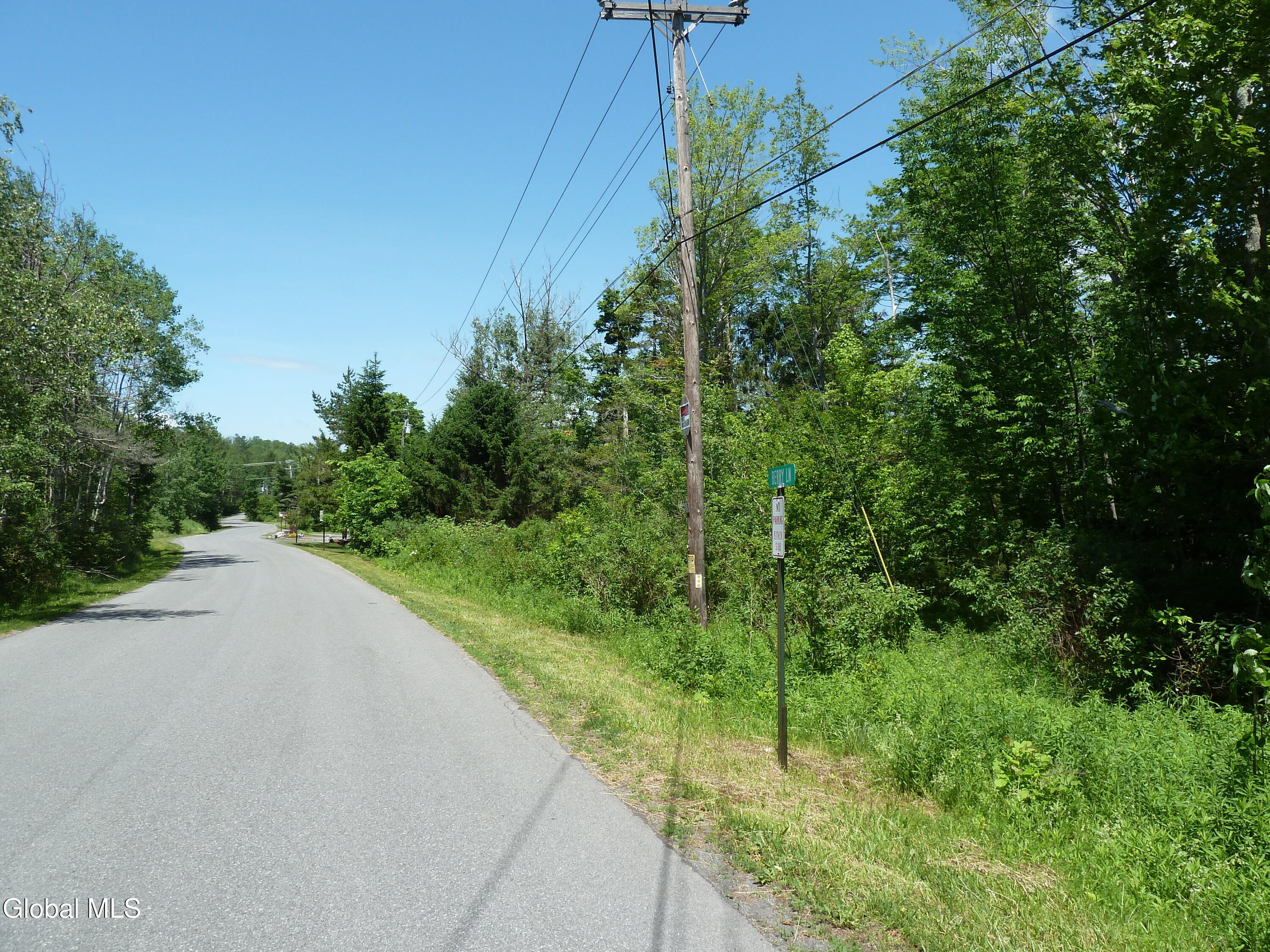 L14 Berry Lane Hunter NY 12442