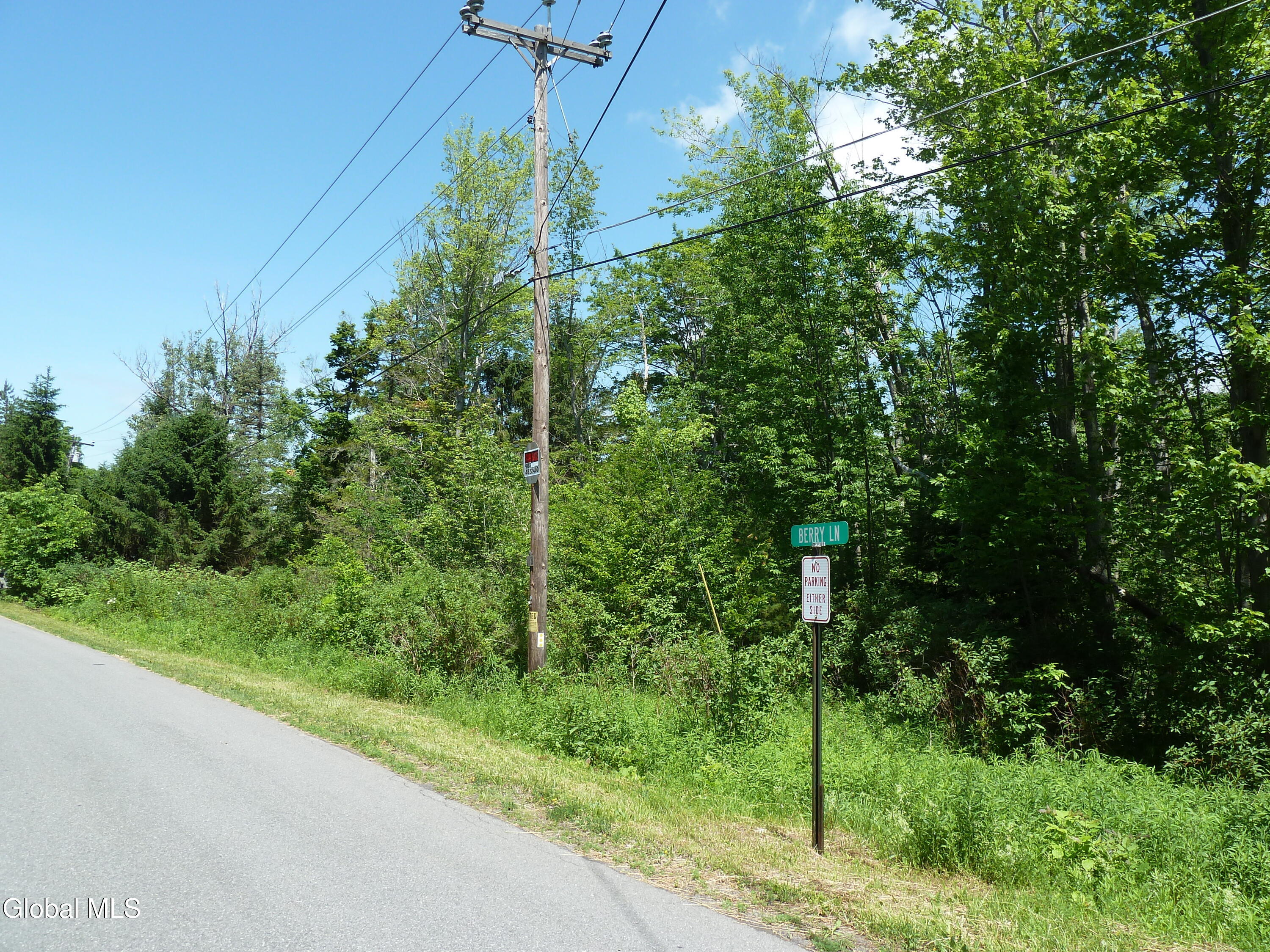 L14 Berry Lane Hunter NY 12442