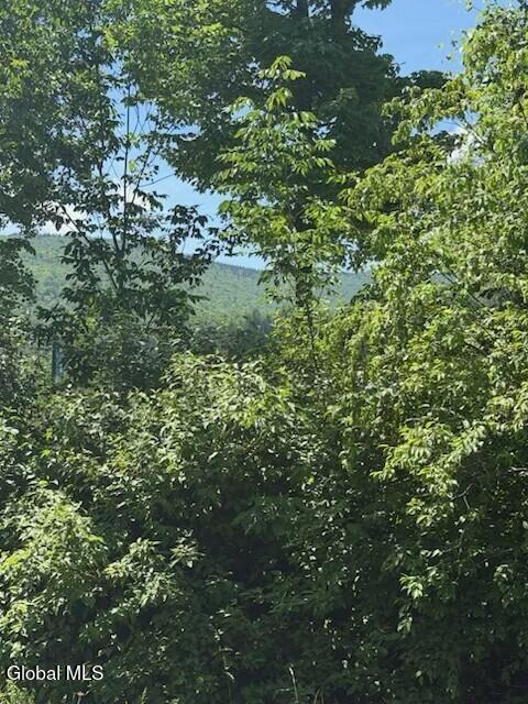 L14 Berry Lane Hunter NY 12442