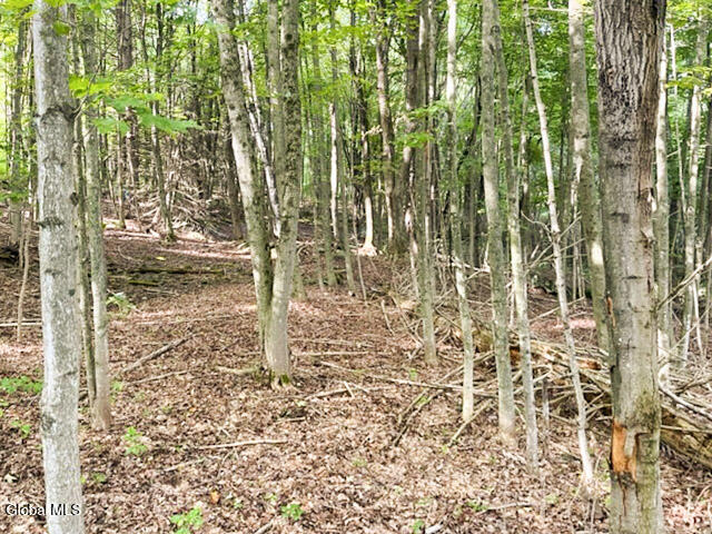 L12.3 Humphrey Road Fultonville NY 12072