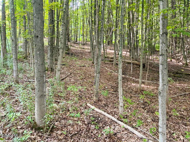 L12.3 Humphrey Road Fultonville NY 12072