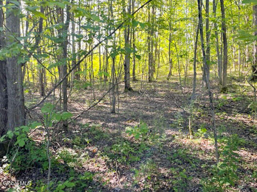 L12.3 Humphrey Road Fultonville NY 12072