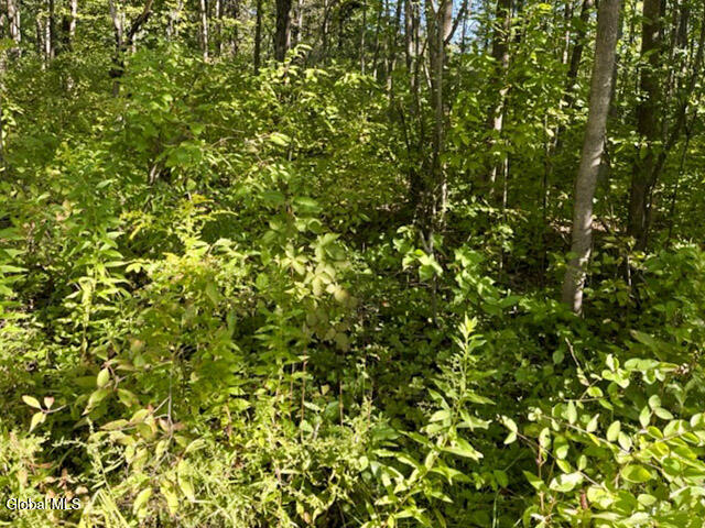 L12.3 Humphrey Road Fultonville NY 12072