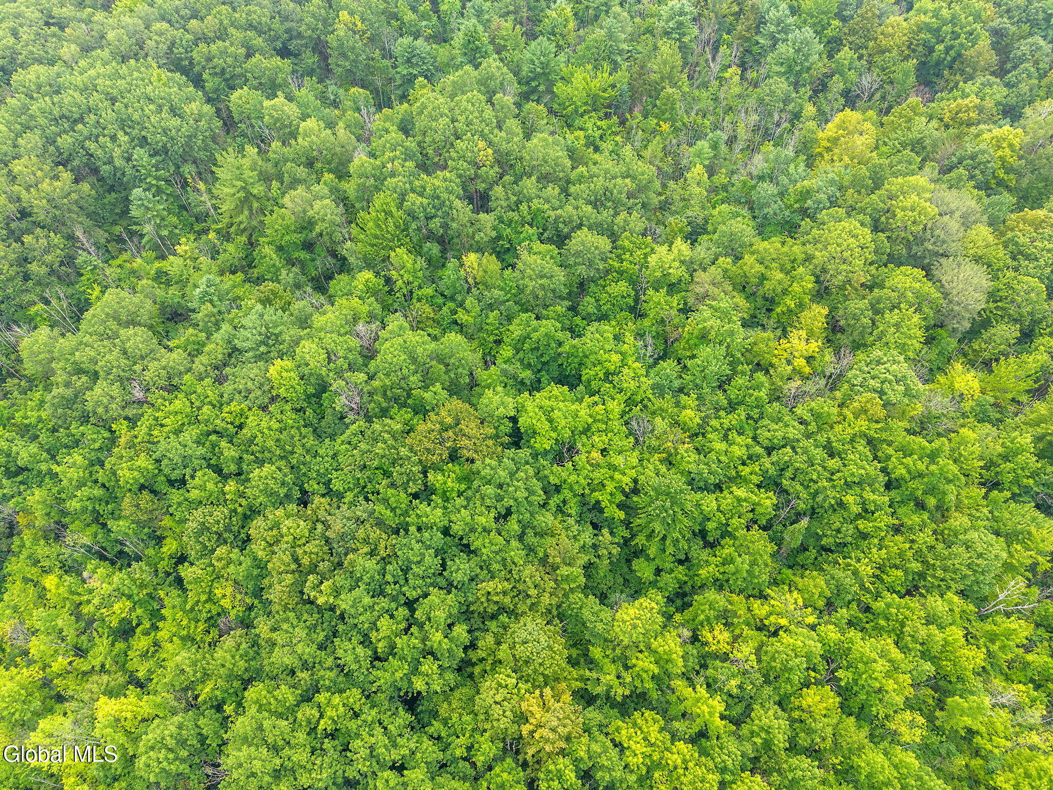 L12.3 Humphrey Road Fultonville NY 12072