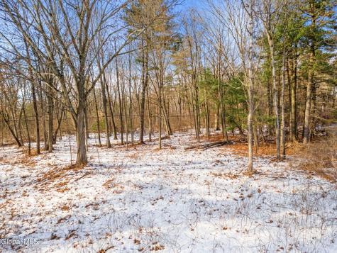 L12 Rr 9w Selkirk NY 12158
