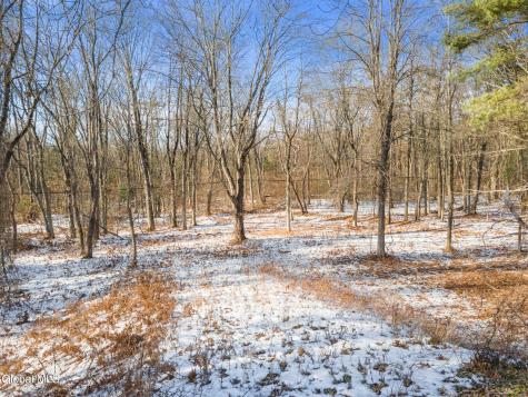 L12 Rr 9w Selkirk NY 12158