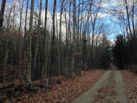 20 Hall Mountain Road Warrensburg NY 12885