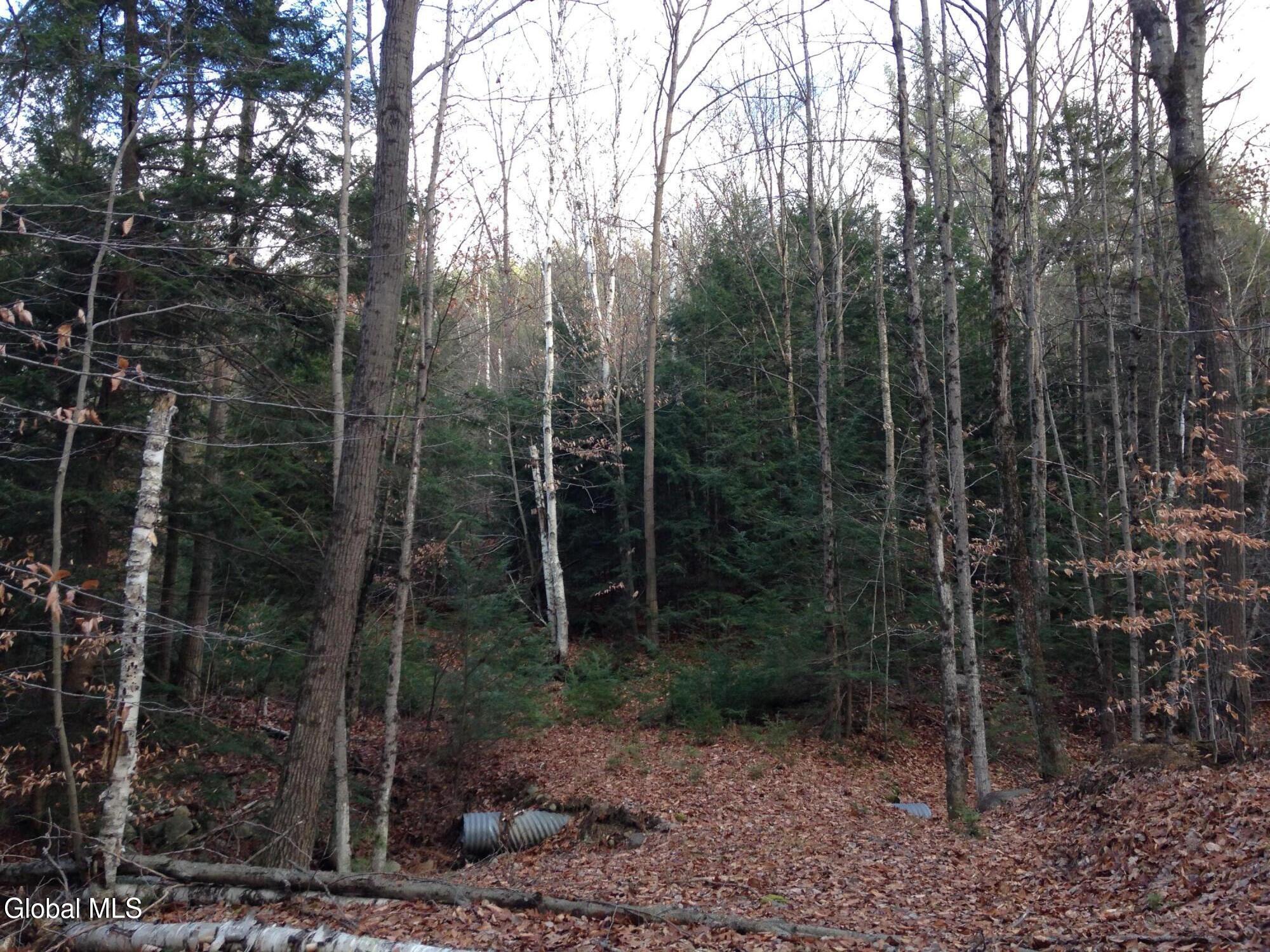 20 Hall Mountain Road Warrensburg NY 12885