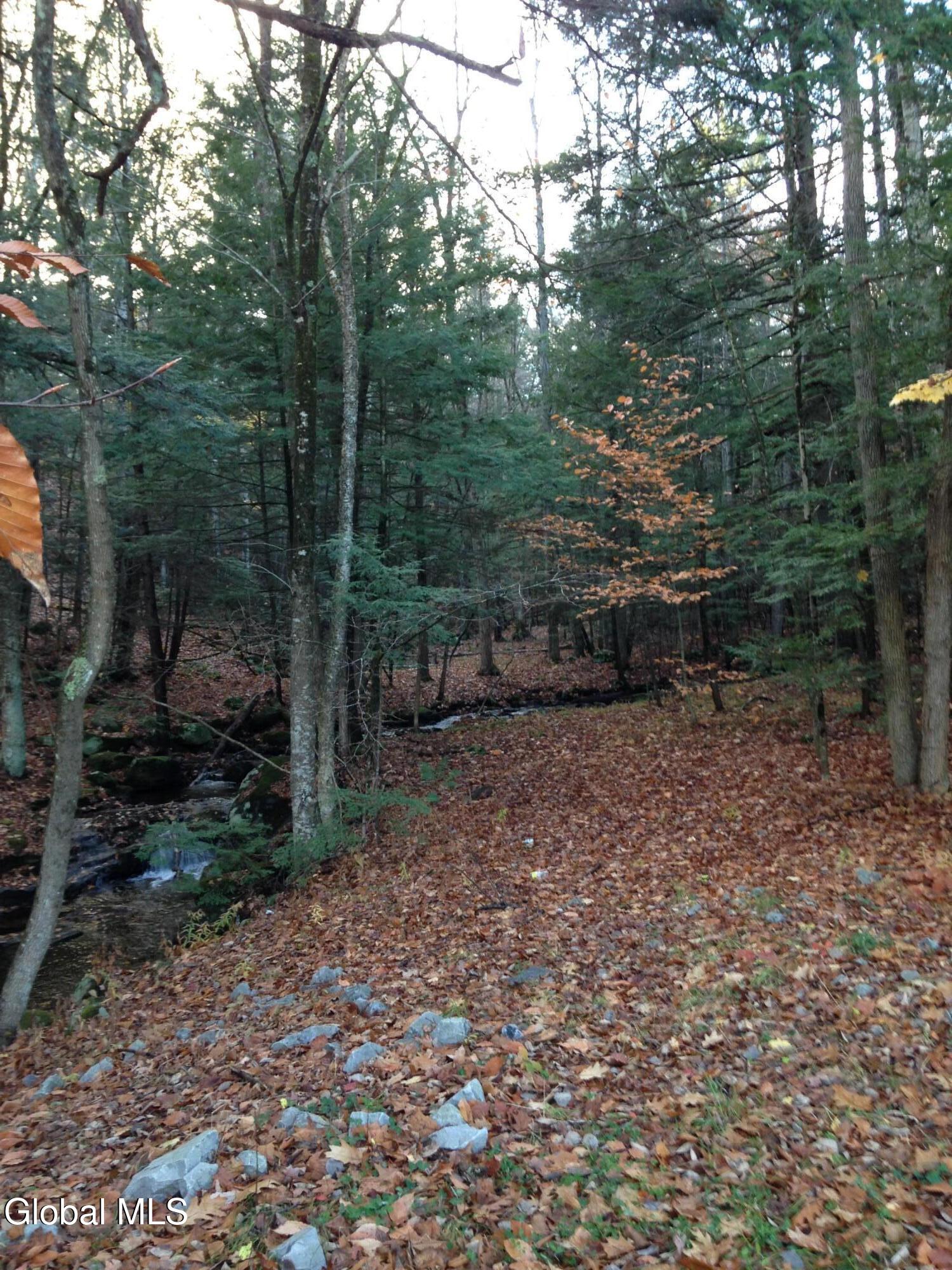 20 Hall Mountain Road Warrensburg NY 12885