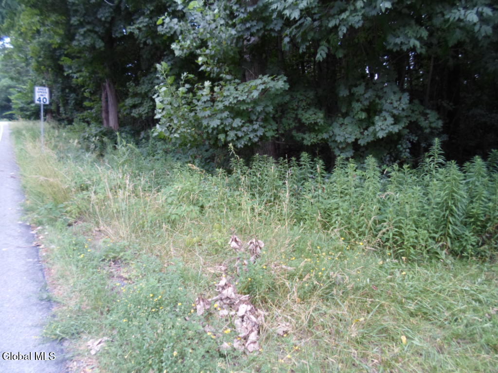 1 Crawford Road Rotterdam NY 12306
