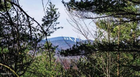 36 Fawn Ridge Road Chestertown NY 12817