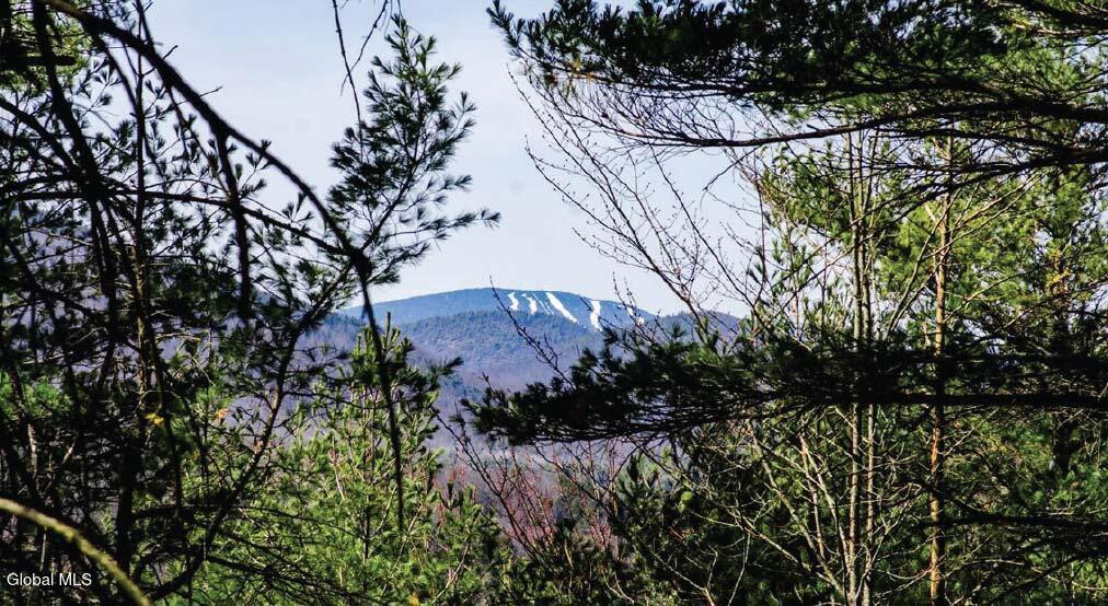 36 Fawn Ridge Road Chestertown NY 12817