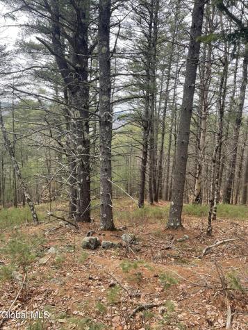 36 Fawn Ridge Road Chestertown NY 12817