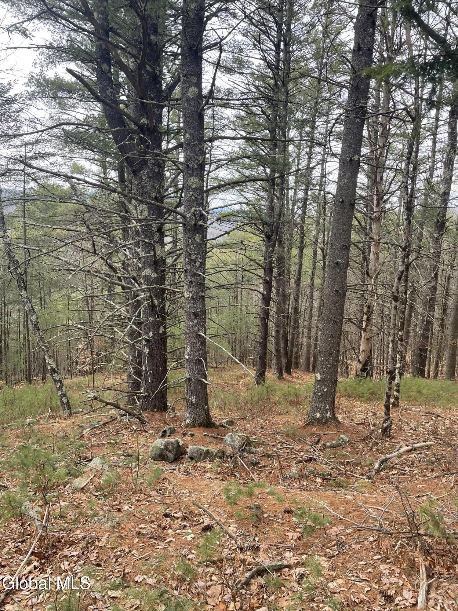 36 Fawn Ridge Road Chestertown NY 12817