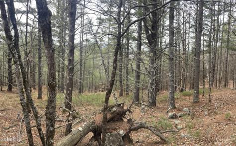 36 Fawn Ridge Road Chestertown NY 12817