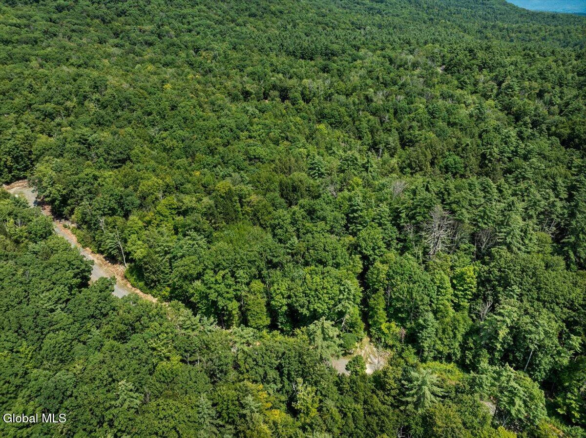 14 Jasmine Road Stephentown NY 12168
