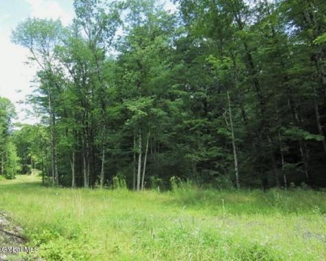14 Jasmine Road Stephentown NY 12168