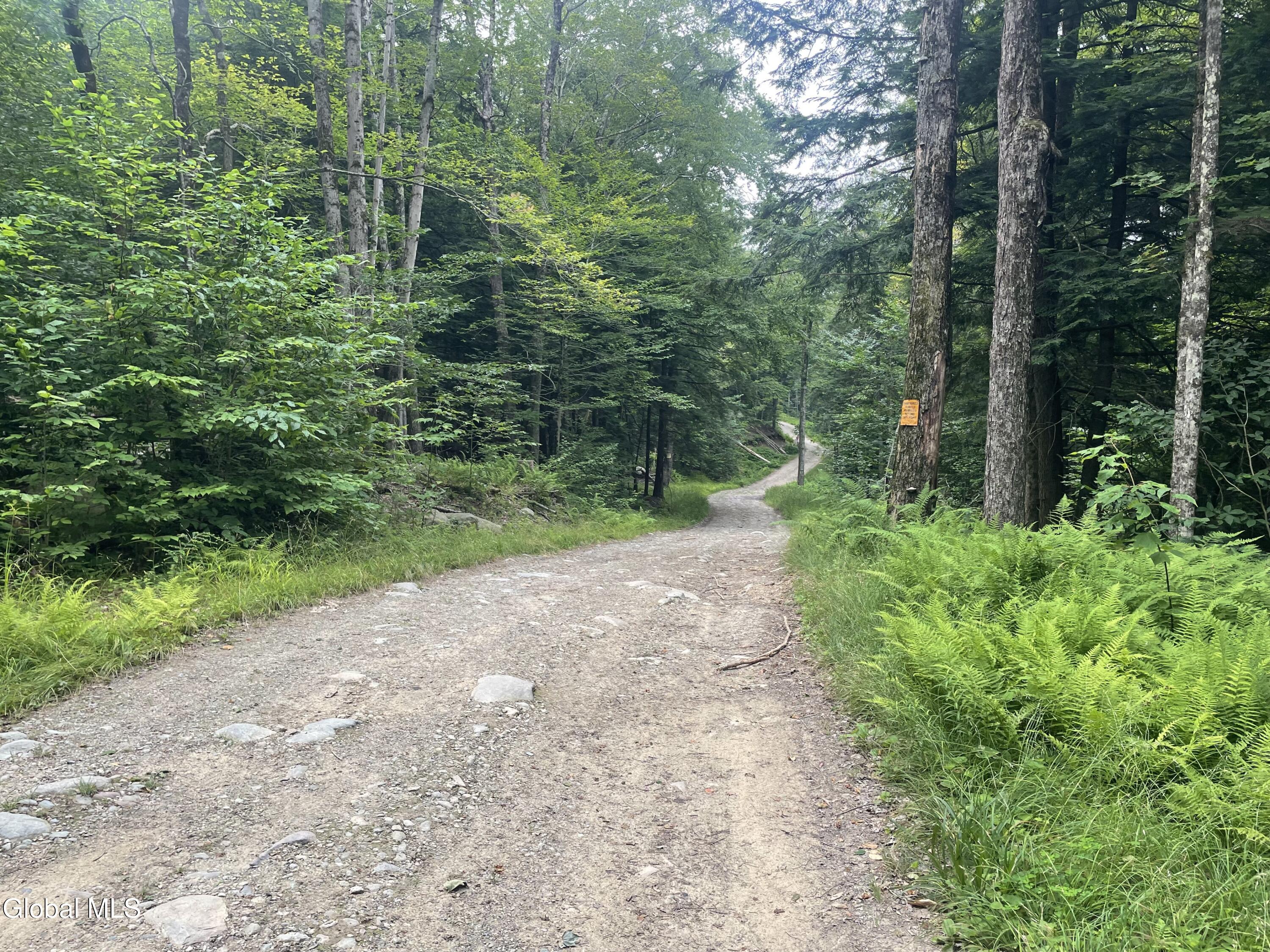 Lot 21.14 Old Town Way Stephentown NY 12168