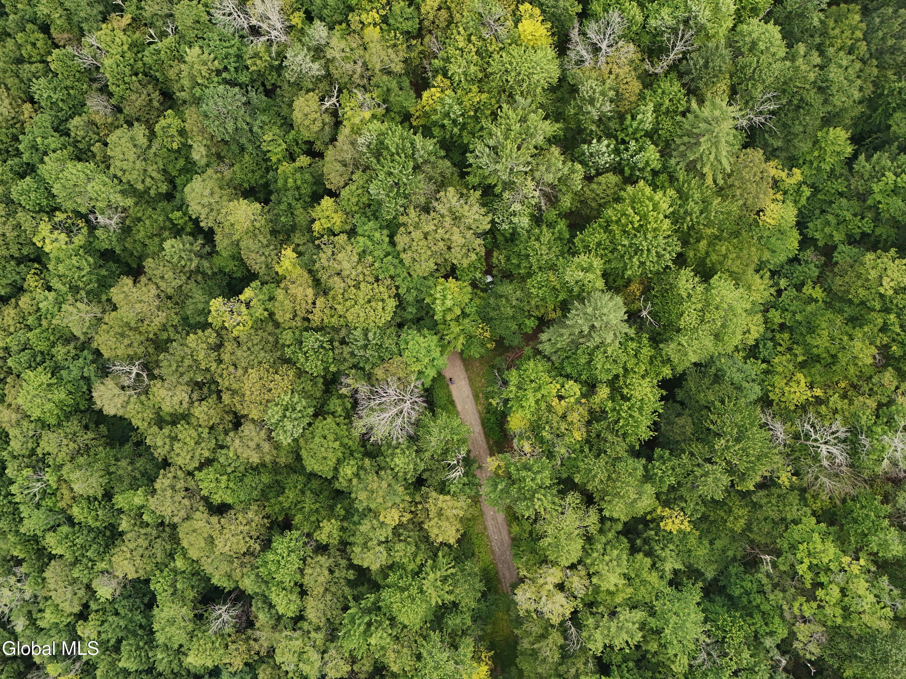 Lot 21.14 Old Town Way Stephentown NY 12168