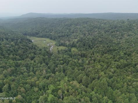 Lot 21.14 Old Town Way Stephentown NY 12168