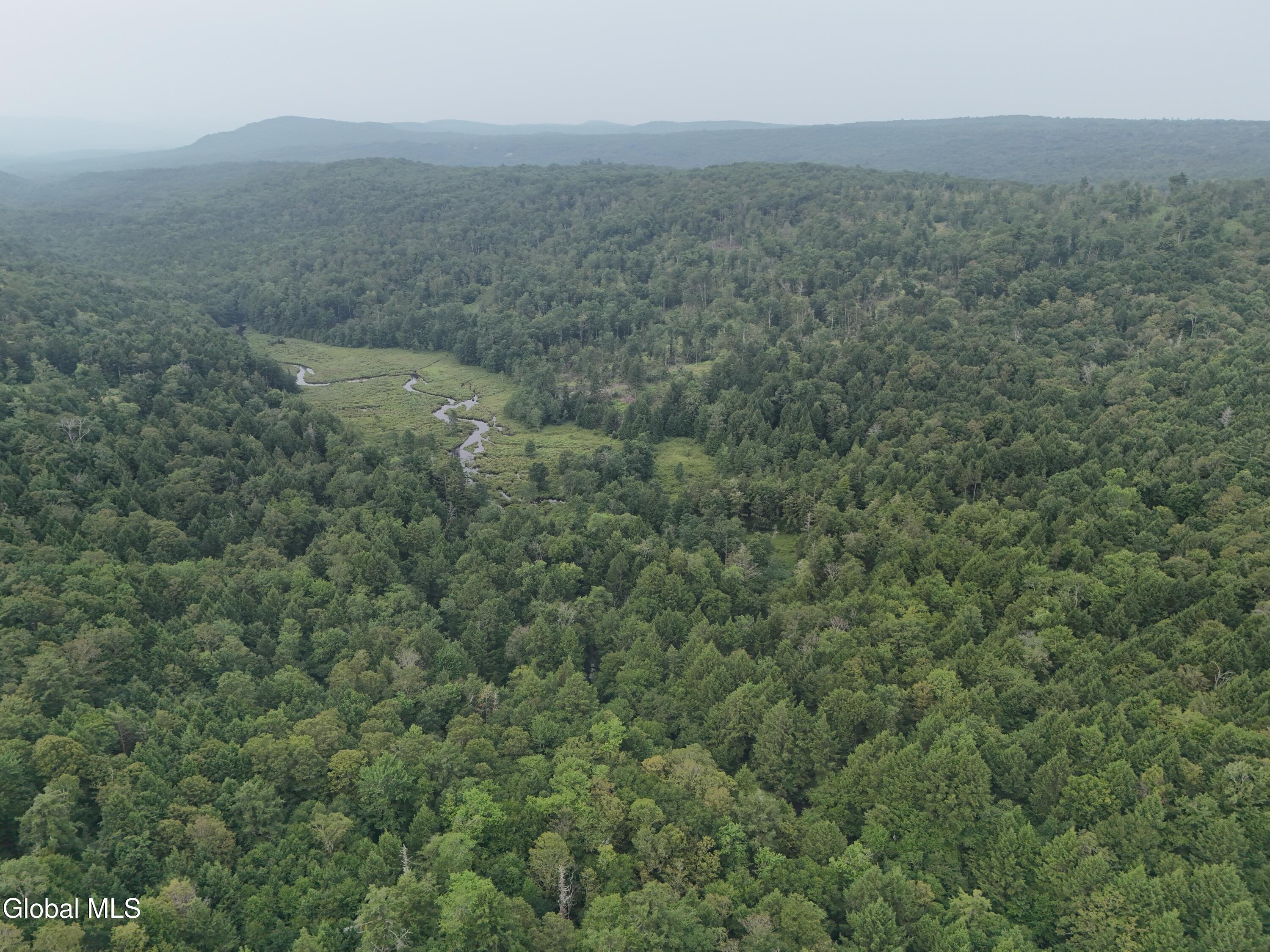 Lot 21.14 Old Town Way Stephentown NY 12168