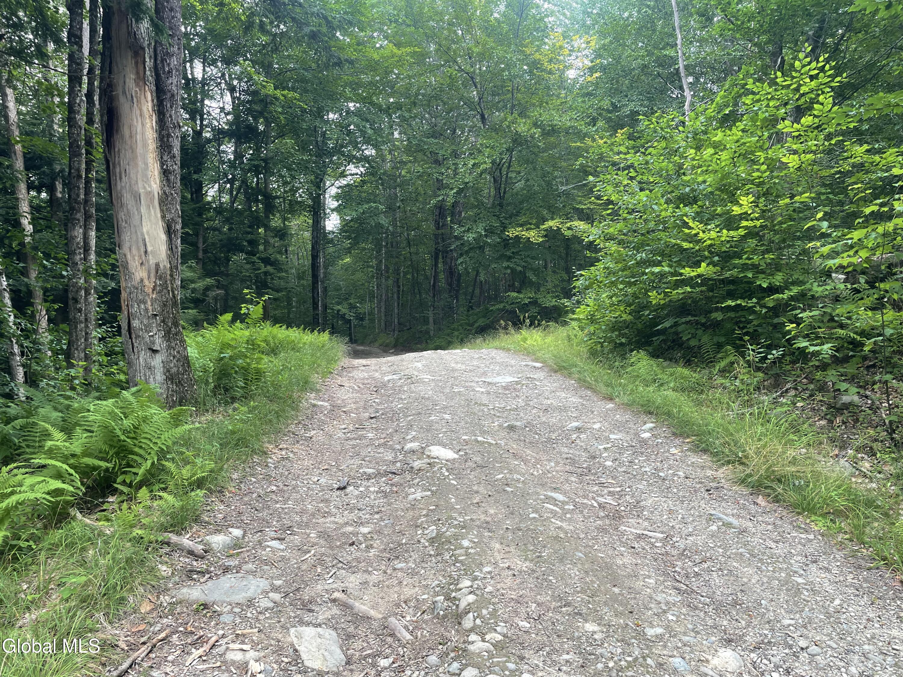 Lot 21.14 Old Town Way Stephentown NY 12168