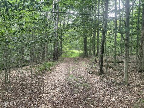 Lot 21.14 Old Town Way Stephentown NY 12168